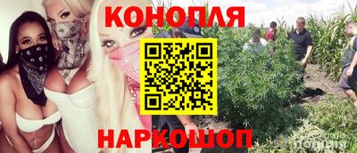 a pvp Малгобек