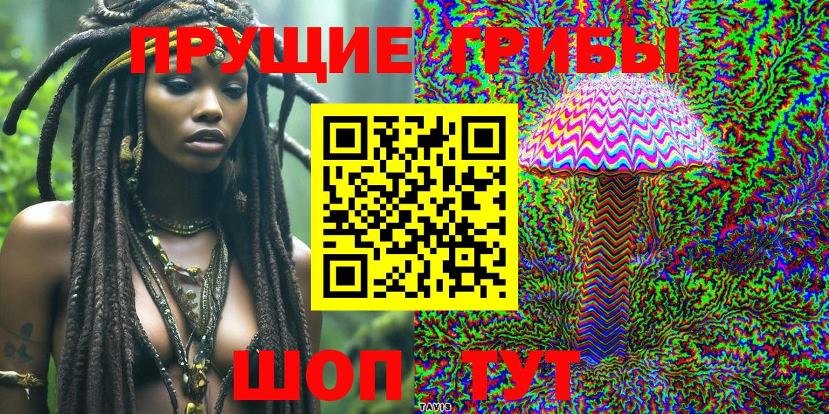 Псилоцибиновые грибы Psilocybe Тобольск